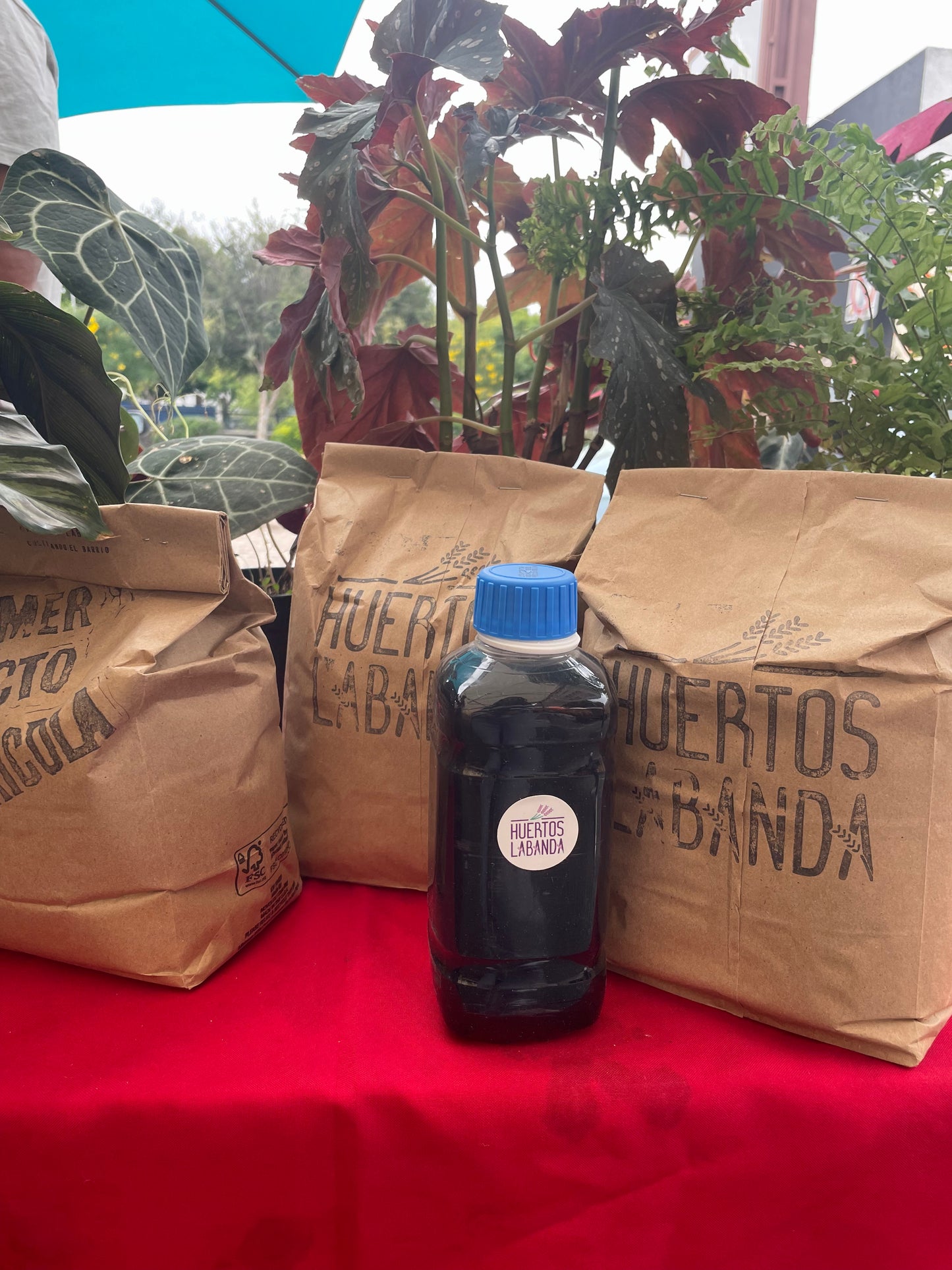 Lixiviado de lombricomposta